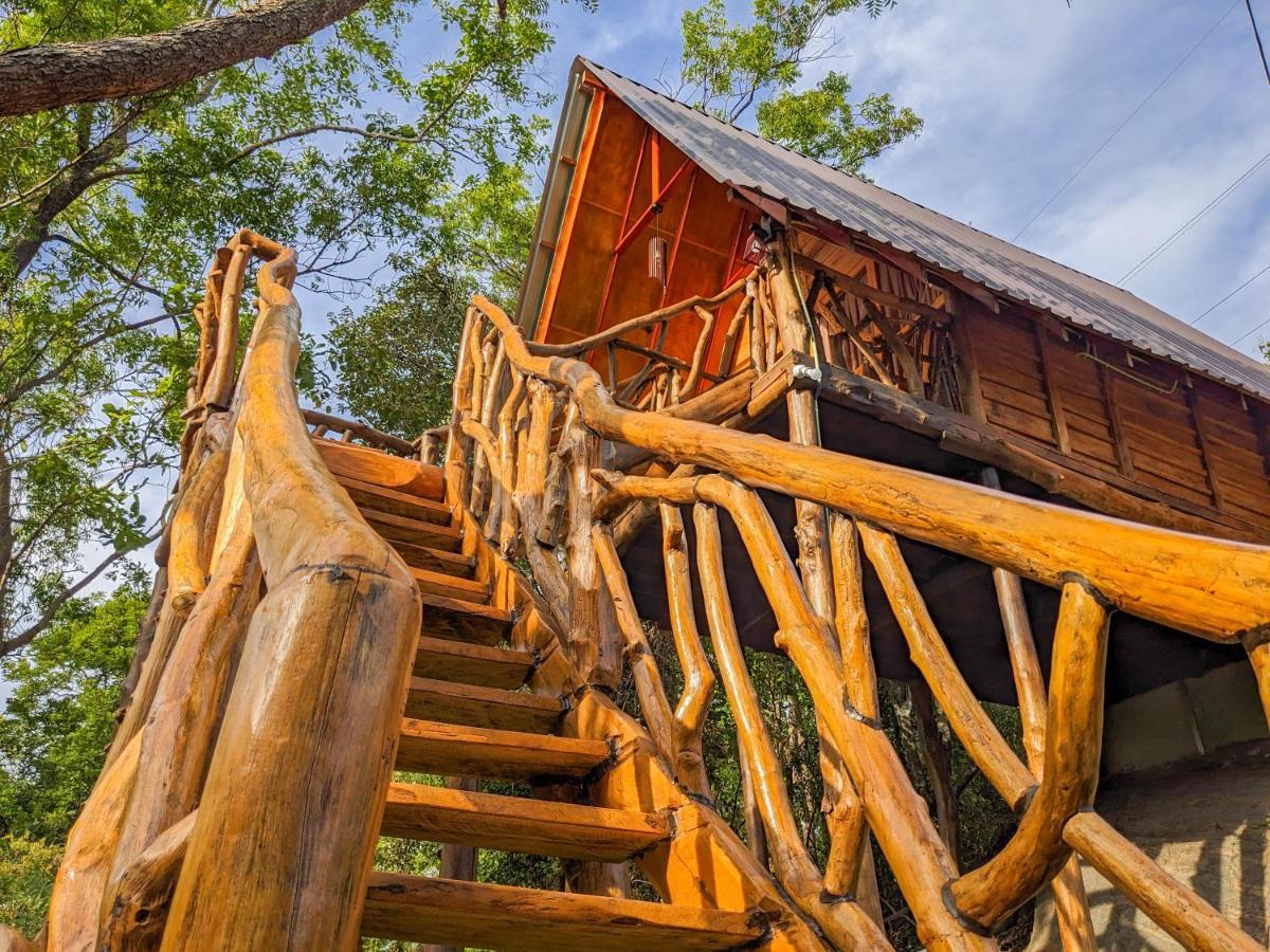 Wooden Cabana Sigiriya Exterior foto